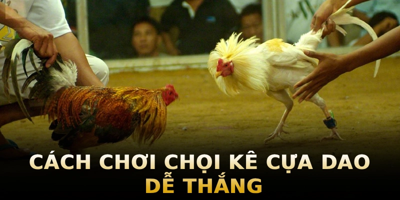 cach-choi-choi-ke-cua-dao-de-thang