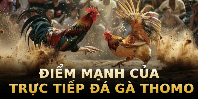 diem-manh-cua-truc-tiep-da-ga-thomo