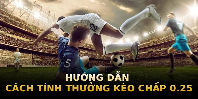huong-dan-cach-tinh-thuong-keo-chap-0-25