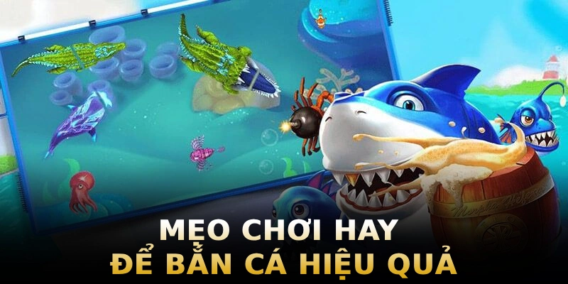 meo-choi-hay-de-ban-ca-hieu-qua