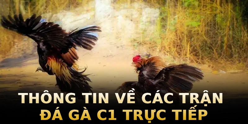 thong-tin-ve-cac-tran-da-ga-c1-truc-tiep