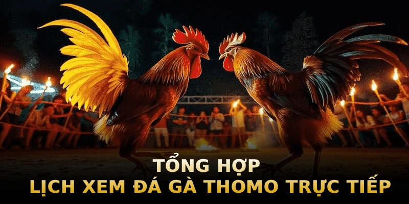 tong-hop-lich-xem-da-ga-thomo-truc-tiep