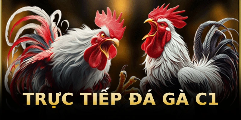 truc-tiep-da-ga-c1