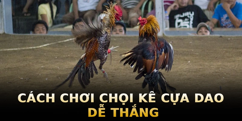 uu-diem-cua-choi-ke-cua-dao