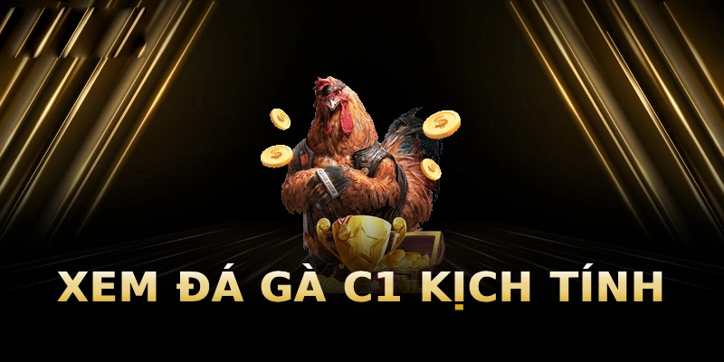 xem-da-ga-c1-kich-tinh